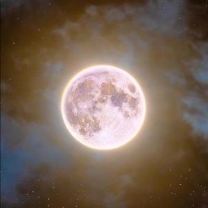 Meet your Posher, Desiree